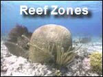 Coral_Reef_Zones.asx