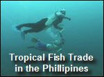 Coral_Reefs_Philippines.mp4