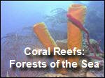 Coral_Reefs_SeaForests.asx