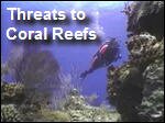 Coral_Reefs_Threats2.mp4