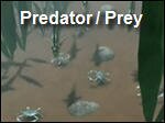 Fish_Predator_Prey_Interactions.asx