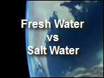 Freshwater_vs_Saltwater.asx