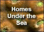 Homes_Under_the_Sea.asf