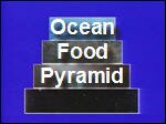 Plankton_Food_Pyramid.mp4
