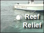 Reef_Relief.asx
