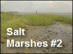 Salt_Marshes2.asx