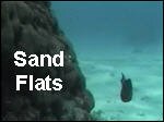 Sand_Flats.asf
