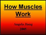 Muscles_AngelaJ.ppt